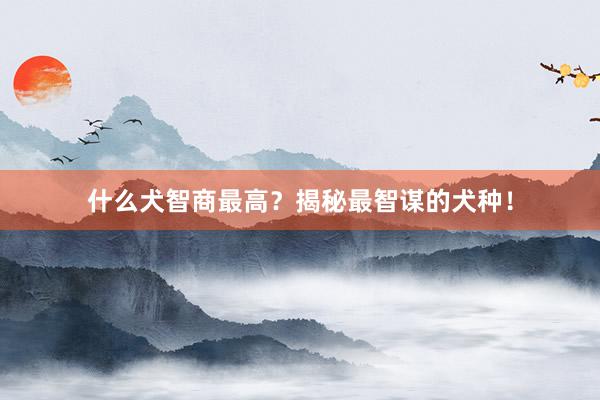 什么犬智商最高？揭秘最智谋的犬种！